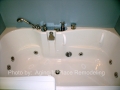 Accessible Renovation - San Diego