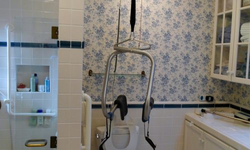 Patient Ceiling Lift for safe transfer from bed to bathroom, shower, toilet