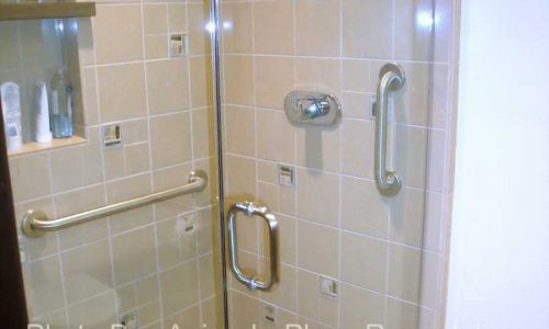 Grab Bars at entrance and back wall of shower
