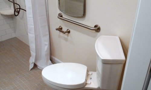 Wheelchair Accessible Bathroom Remodel 