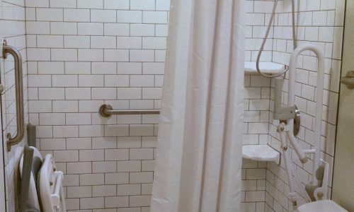 Accessible Shower Remodel with Grab Bars