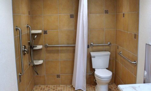 Barrier Free Bathroom Remodel with Wheelchair shower and sink, grab bars