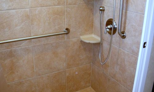 Wheelchair Accessible Roll In Shower