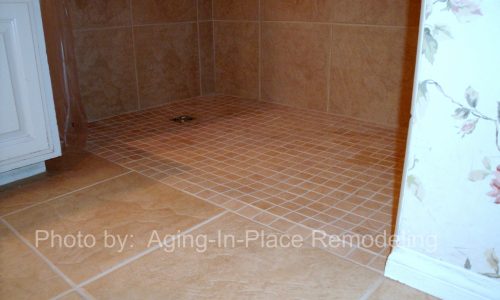 Wheelchair Accessible Shower Remodel