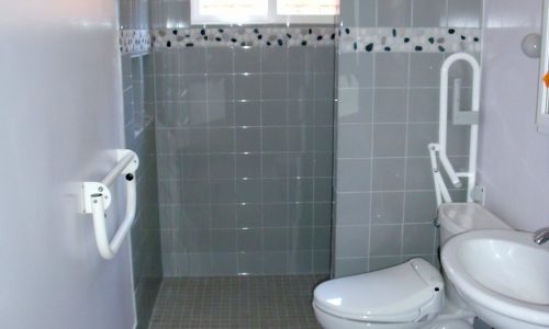 Accessible Bathroom Remodel with Fold Up Safety Rails