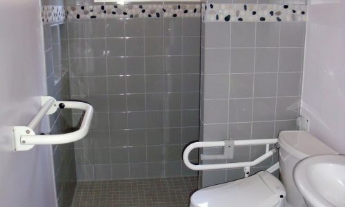 Accessible Bathroom Remodel with Fold Up Safety Rails