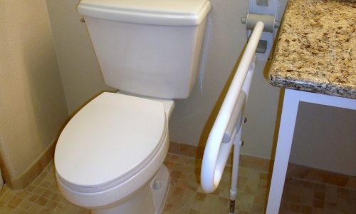 Accessible Bathroom Remodel with Fold-Up Safety Rail