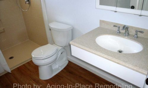Wheelchair Accessible Roll Under Sink