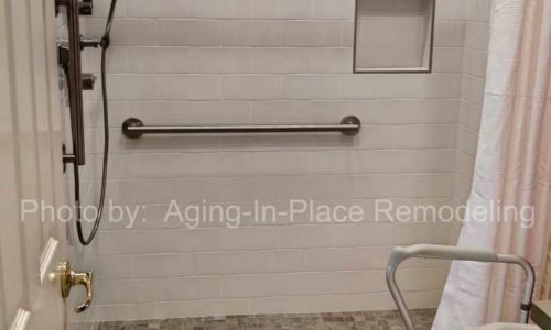 Grab Bar and Handheld Shower head in Custom Tile Roll In Shower