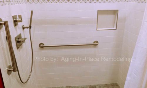 Grab Bars and Hand Held Showerhead 