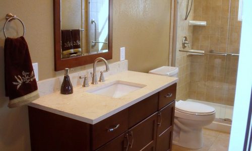 Bathroom Remodel with Low Threshold Shower