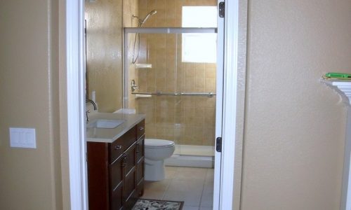 Bathroom Remodel with Low Threshold Shower