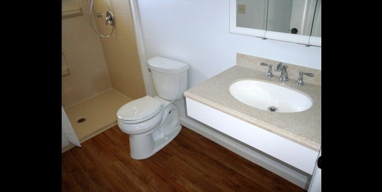 Fiberglass Roll-In Shower